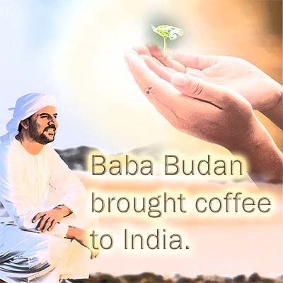 ババブーダンがインドにコーヒーをもたらした